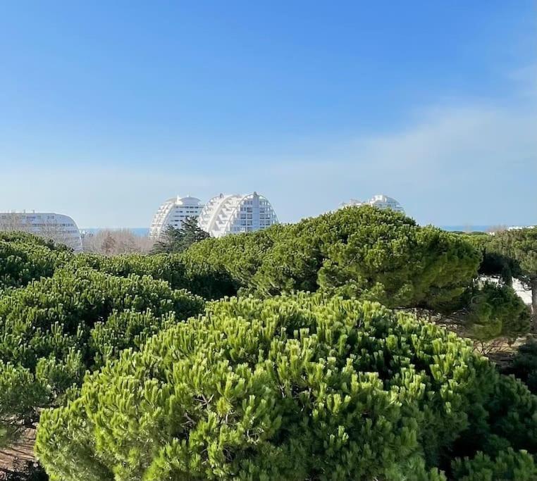 Les Jardins Du Couchant * Proche Mer * Climatisation * Parking Prive Ла-Гранд-Мот Экстерьер фото